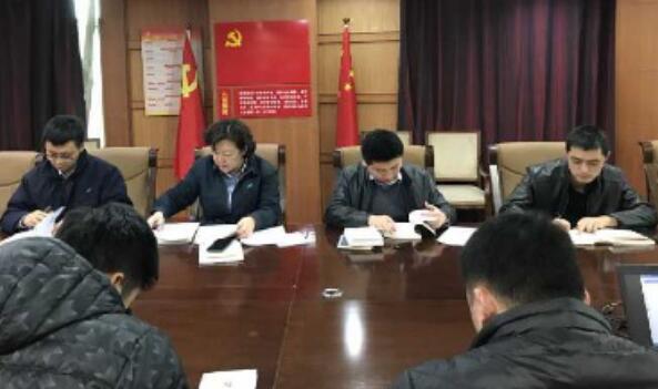 公司召開直屬黨組織書記抓黨建工作述職評議會    陳嘉生主持并講話