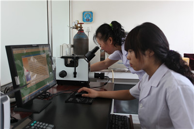 中央第三生態環境保護督察組反饋“回頭看”及專項督察情況  公司及時召開黨委會傳達會議精神  部署落實磷石膏堆場徹底整治方案