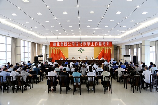 公司深化改革工作推進(jìn)會召開    阮德利作動員報告　　閆麗君王志強(qiáng)講話　　蔣升云主持