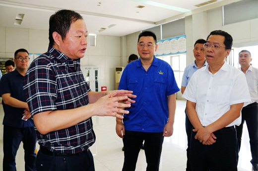 丁純來六國化工調研生產經營和用電保供情況