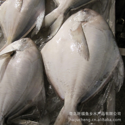 暢銷(xiāo)供應(yīng)鯧魚(yú) 冷凍水產(chǎn)品批發(fā)專(zhuān)業(yè)指南