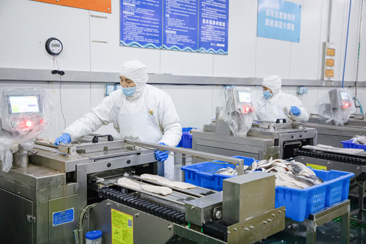 開辟綠色生命通道，海安中洋集團200噸水產食品馳援上海保供穩鏈