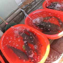 冬季常吃6種水產(chǎn)品，讓你輕松抗寒保暖